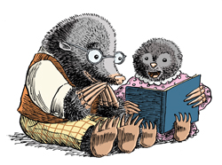moles reading